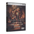 When You're Depressed: Lessons From the Life of David